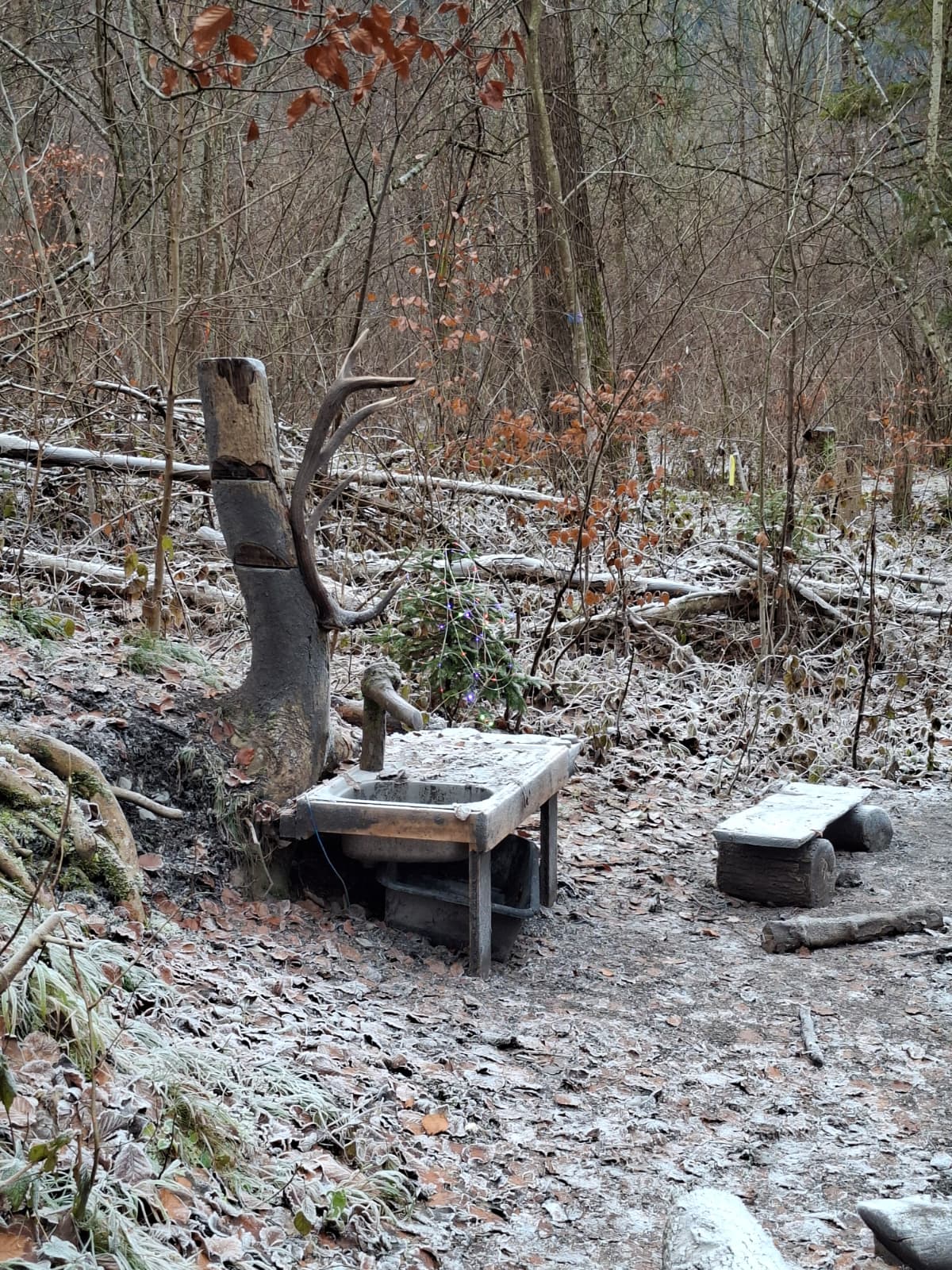 Wald V