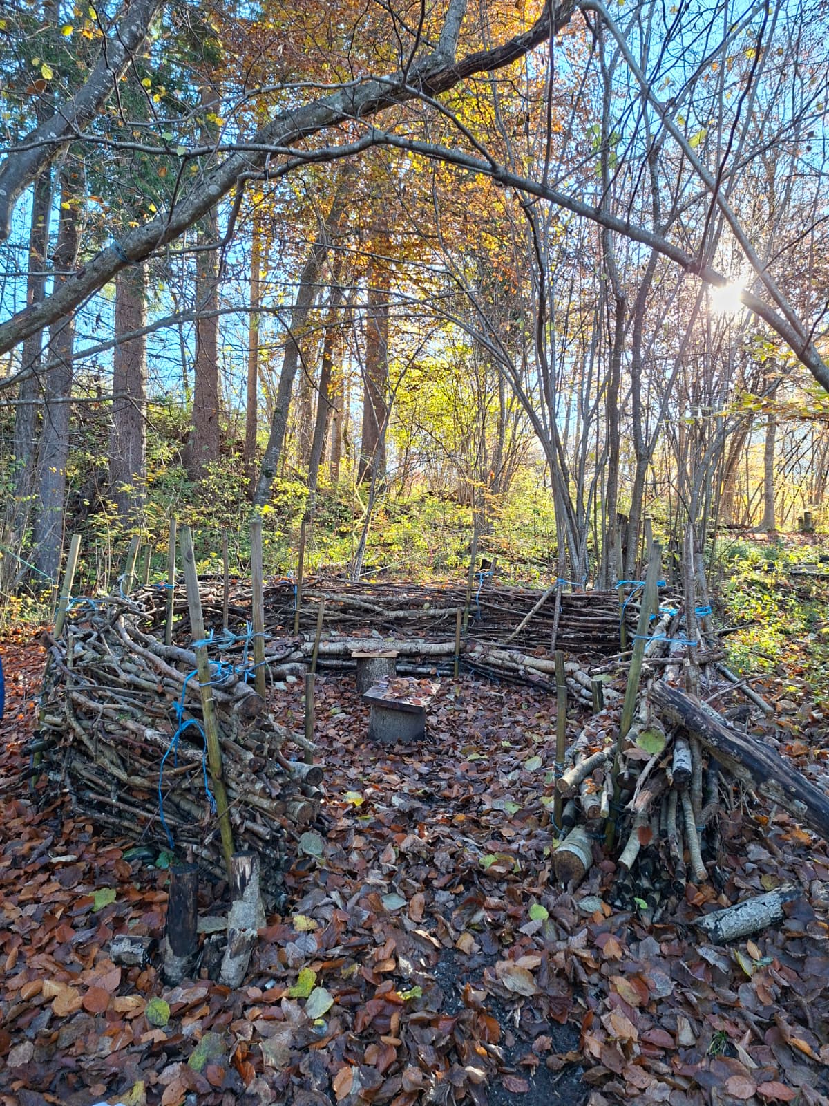 Wald VIII